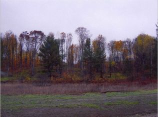 11780 Mount Frederick Rd, Gaylord, MI 49735