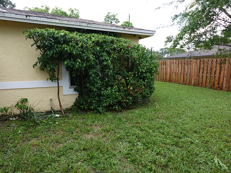 Front Yard.