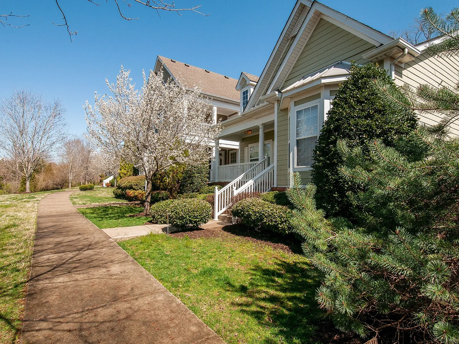 3 bed, 1653 sqft, $2,900 — Photo 3