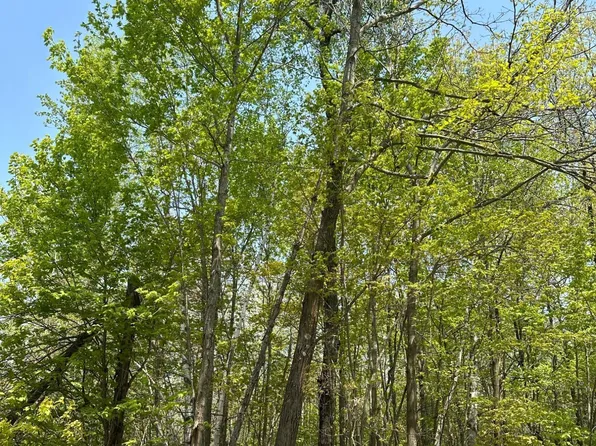 Burrows Lake Rd Lot 12, Tomahawk, WI 54487