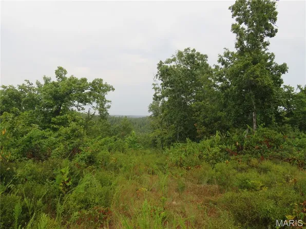 0 Forest Rd #2083, Bunker, MO 63629
