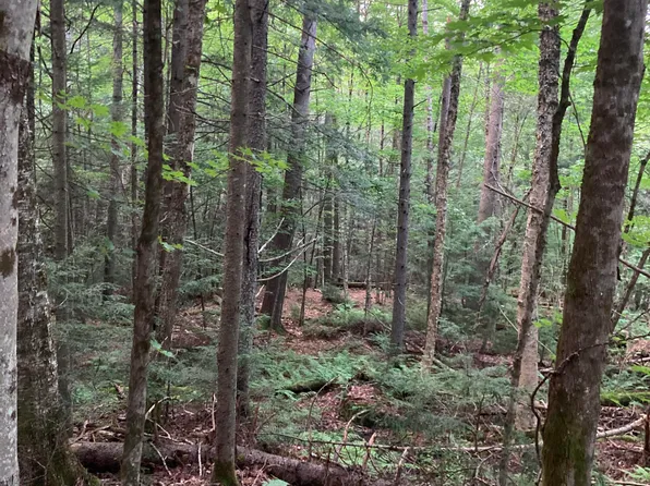 L12.1 NY-28, North Creek, NY 12853