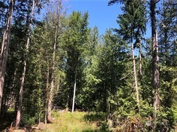 21700 70th Avenue E, Spanaway, WA 98387