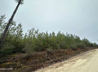 TRACT 6418 N Mattox Springs Rd #1, Caryville, FL 32427