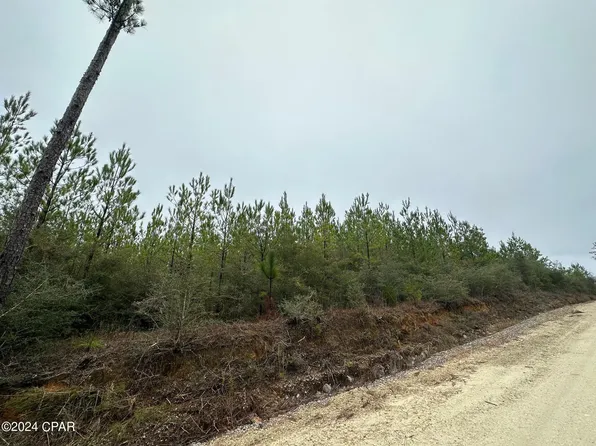TRACT 6418 N Mattox Springs Rd #1, Caryville, FL 32427