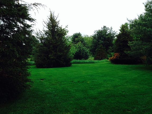 private yard