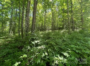 0 Courtney Ct, Brevard, NC 28712