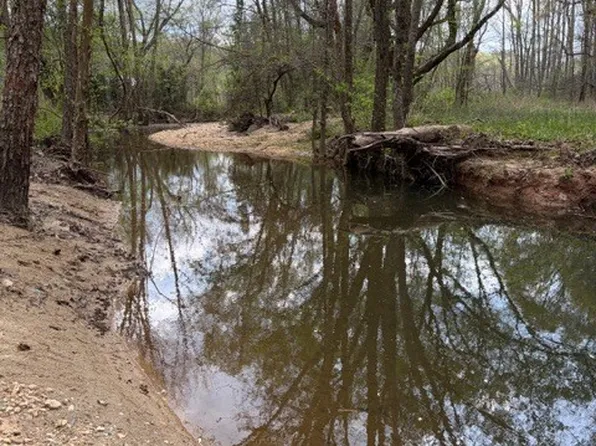 54 Coppermine Rd, Buchanan, GA 30113