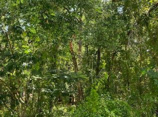 3959 S Ivanhoe Ter, Inverness, FL 34452