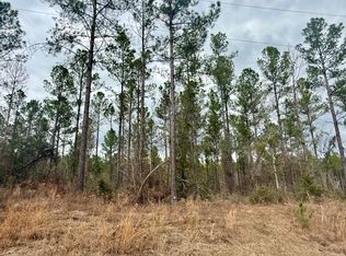 49 Stuart Rd, Sumrall, MS 39482