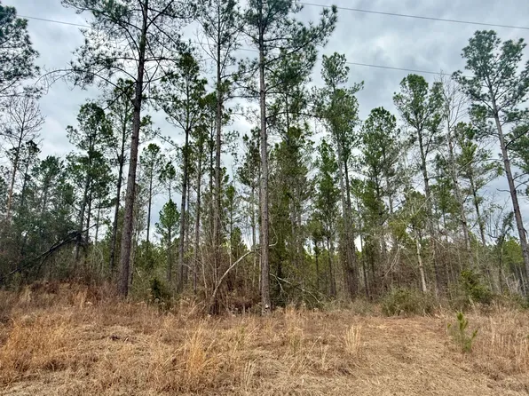 49 Stuart Rd, Sumrall, MS 39482