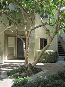 34 Via Solaz, Rancho Santa Margarita, CA, 92688