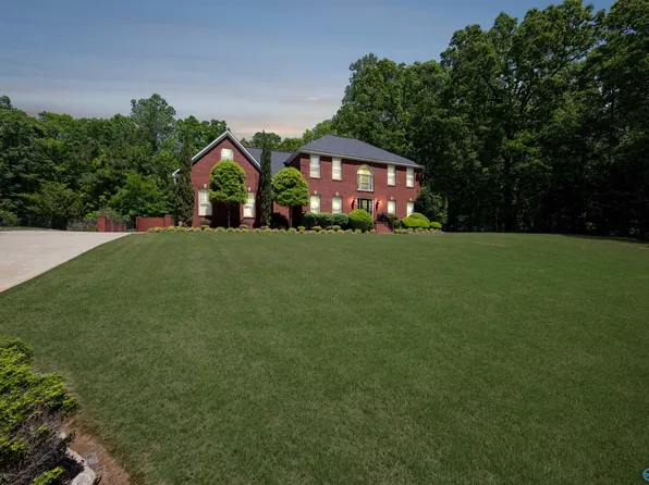115 Sweetwater Ln, Rainbow City, AL 35906