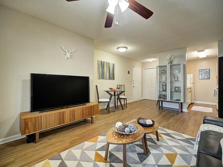 Grande Oasis at Carrollwood — Photo 12