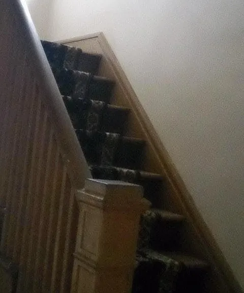 40 N Elmwood Ave #HOUSE — Photo 6