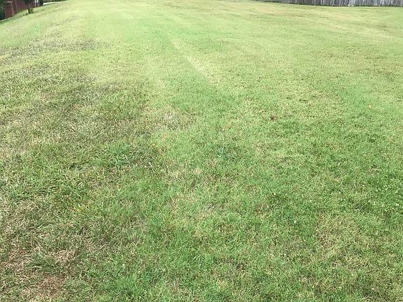 2nd image of 7860 Mendonhall Estates Blvd Lot 1