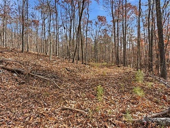 5th image of 0 Flowery Branch Rd #16