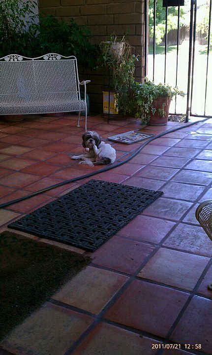 Front gated patio