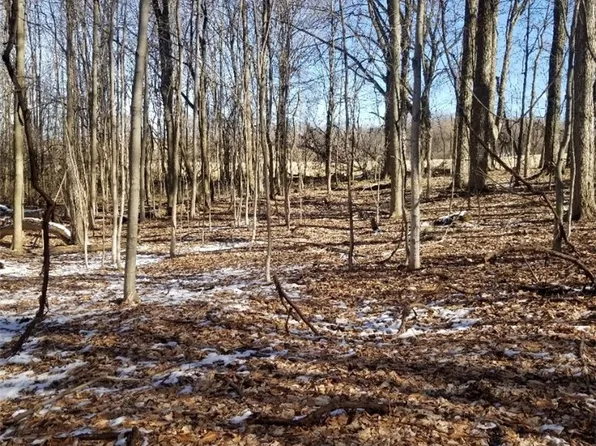 0 Mosquito Point Rd #6, Munnsville, NY 13409