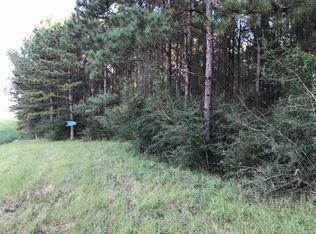 0 Highway 98, Beaumont, MS 39423
