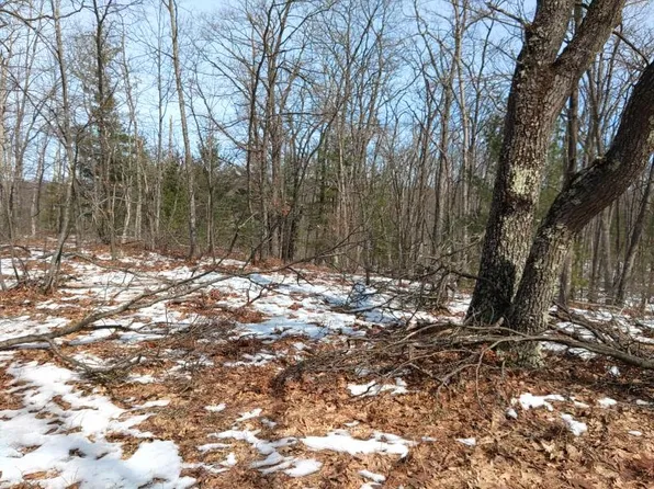 W Christy Ct, Spruce, MI 48762