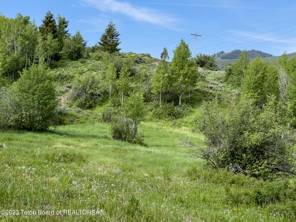 Rodeo Rd, Jackson, WY 83001