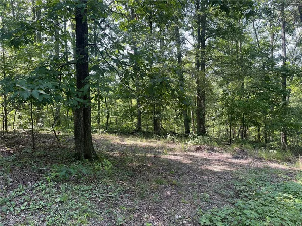 0 E Northwood Lake Rd, Wappapello, MO 63966