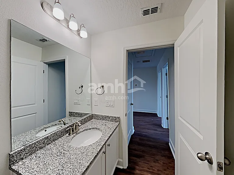 1397 Celery Palm Cv — Photo 22