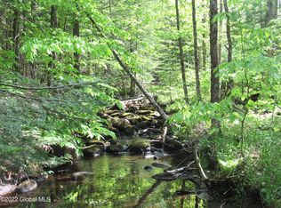 484 Bartman Rd, Johnsburg, NY 12843