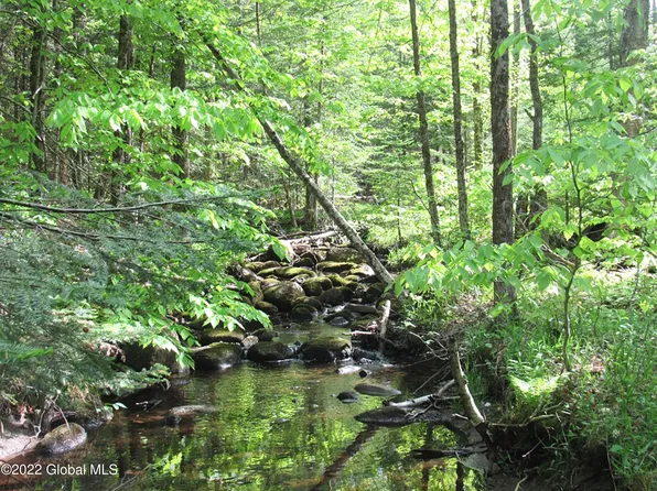 484 Bartman Road, Bakers Mills, NY 12843