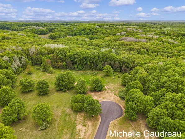 PARCEL Six Leaf Ln, Freeport, MI 49325