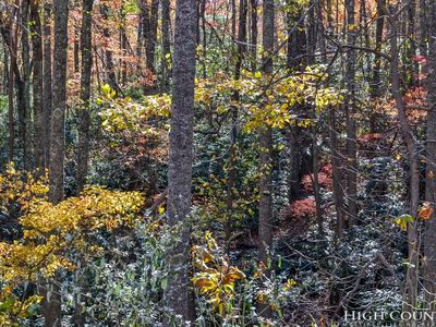 6 Little Laurel Rd, Boone, NC, 28607