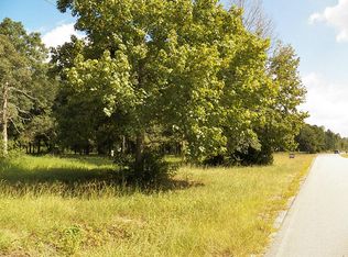 17310 Payne Rd, Conroe, TX 77302