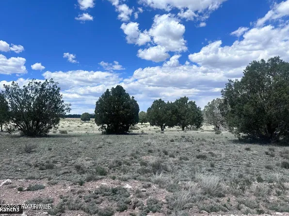 42 N Trout Creek Trl, Seligman, AZ 86337