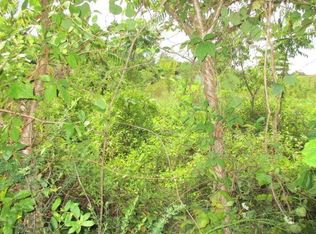 13 Agency Creek Ln, Decatur, TN 37322