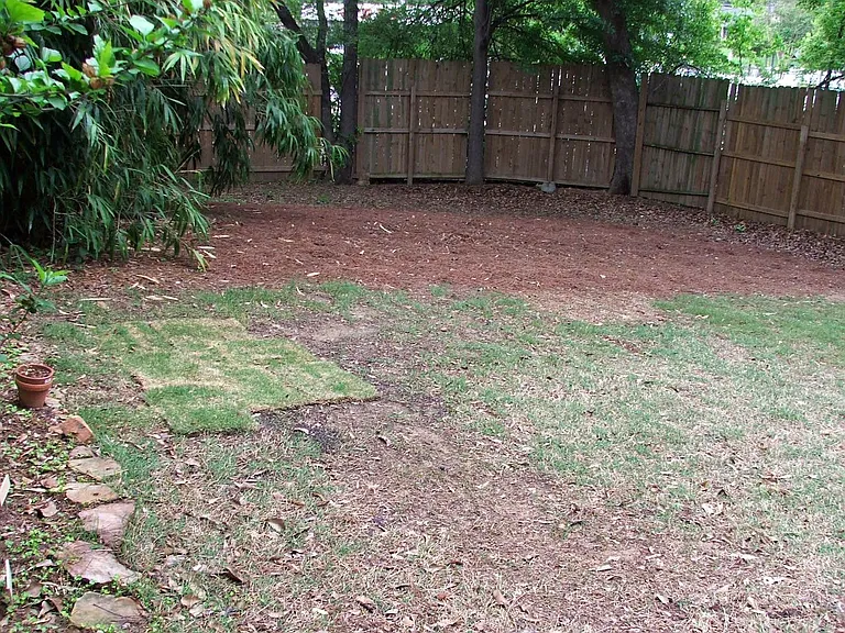1000 Drexel Dr — Photo 29