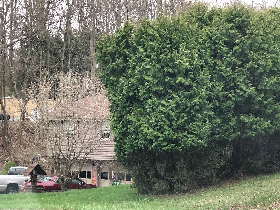 2nd image of 470A Donohoe Rd