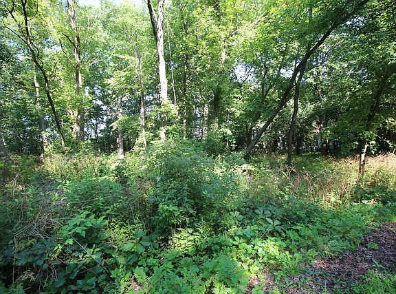5th image of 8N070 Grand Arbor Ln
