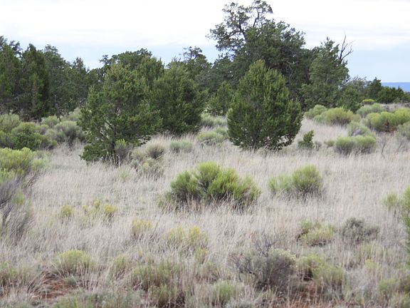 4th image of 646-647 Pine Mdws #4 & 672-673