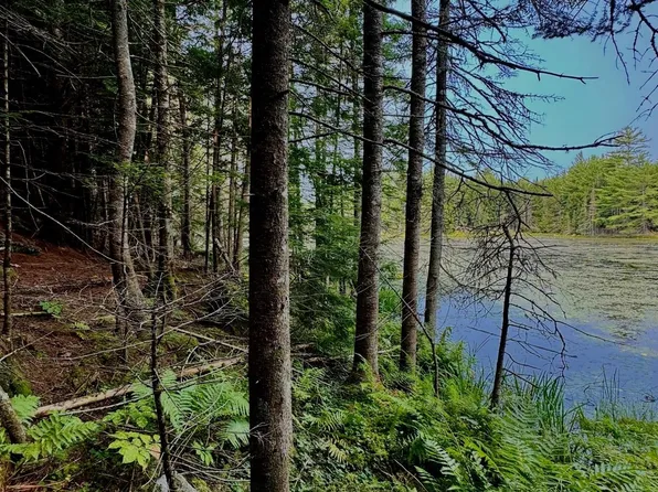 62 Whittier Highway, Sandwich, NH 03227