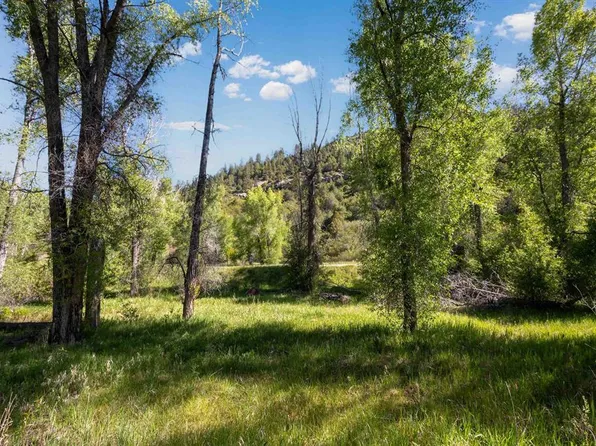 TBD Hwy 145, Dolores, CO 81323