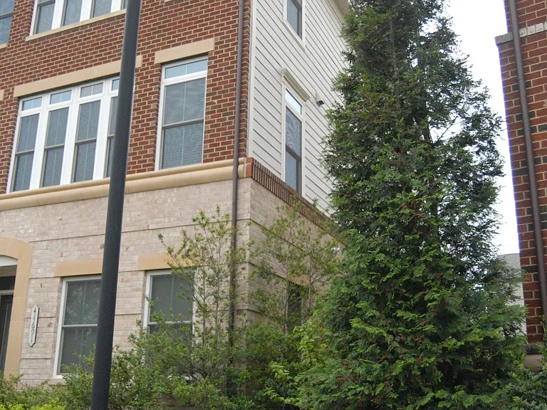 Side of Townhouse - End Unit