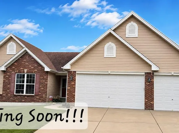 132 Riverdale Woods Cir, Saint Paul, MO 63366