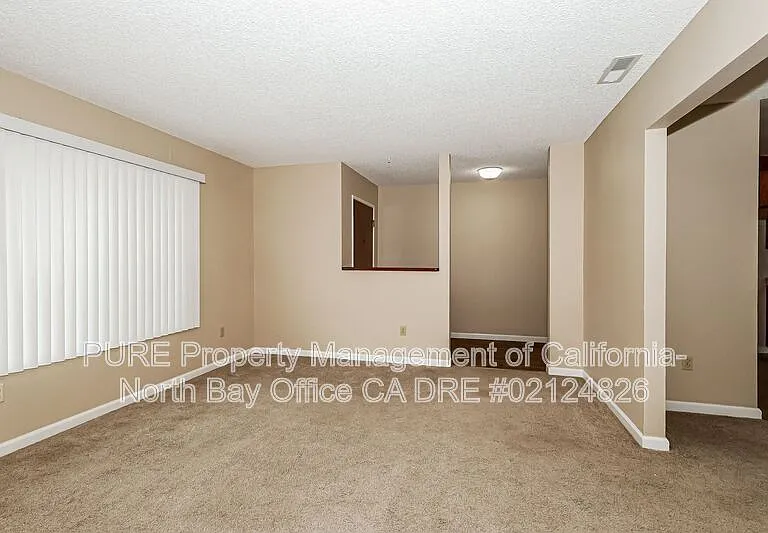 517B Debbie Dr — Photo 8