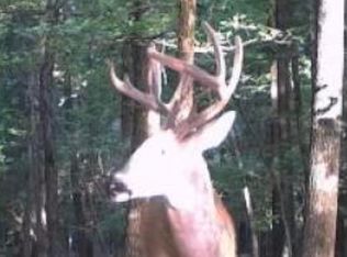 0 Highway 385 S, Griffithville, AR 72060