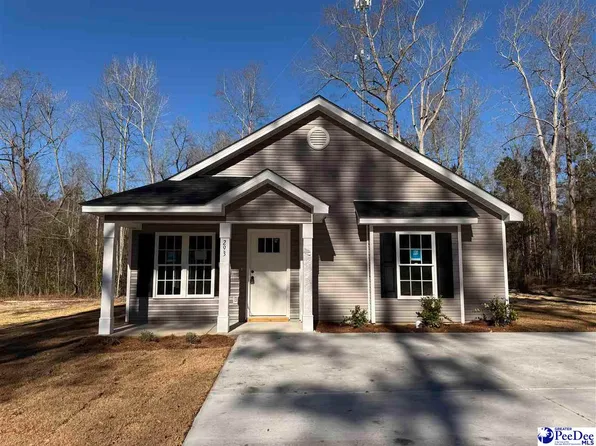 293 Pineneedle Cir, Johnsonville, SC 29555