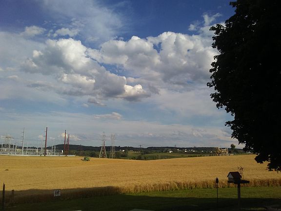 View from farm house