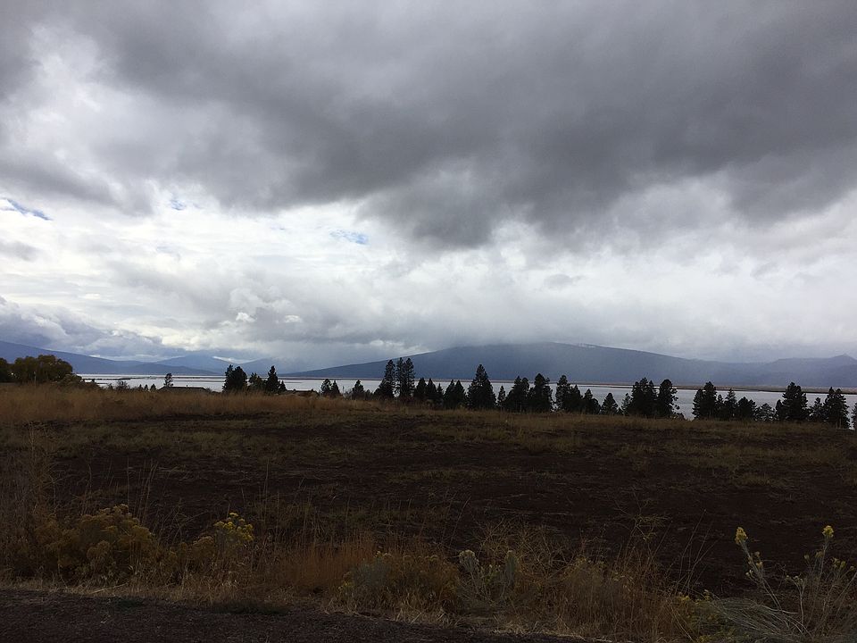 2nd image of Oregon Shrs #Blk40lot24
