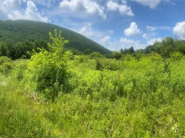 Bramley Mountain Rd Lot 9, Delhi, NY 13753