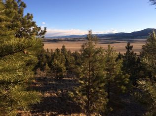 326 Oxford Dr, Hartsel, CO 80449